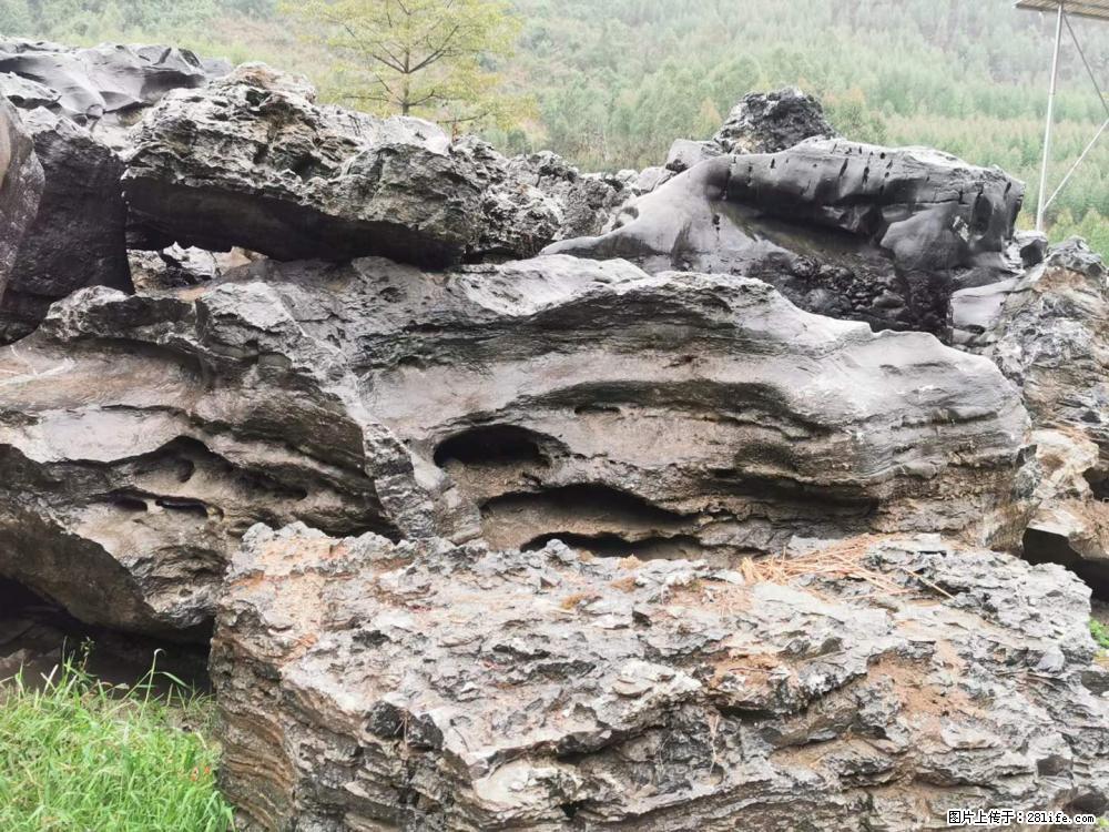 风景石、假山石大量有货，有需要的欢迎联系 - 新手上路 - 芜湖生活社区 - 芜湖28生活网 wuhu.28life.net