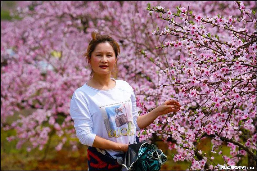 【春天，广西桂林灌阳县向您发出邀请！】官庄村有个醉美的桃花园 - 游山玩水 - 芜湖生活社区 - 芜湖28生活网 wuhu.28life.net