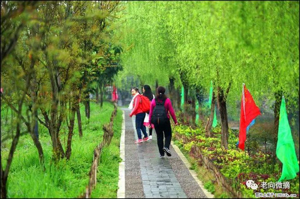 【春天，广西桂林灌阳县向您发出邀请！】江口老街又逢春 - 游山玩水 - 芜湖生活社区 - 芜湖28生活网 wuhu.28life.net