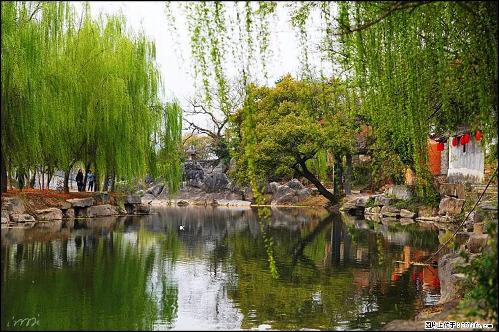 【春天，广西桂林灌阳县向您发出邀请！】江口老街又逢春 - 游山玩水 - 芜湖生活社区 - 芜湖28生活网 wuhu.28life.net