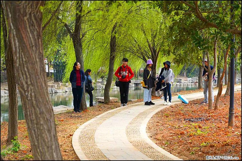 【春天，广西桂林灌阳县向您发出邀请！】江口老街又逢春 - 游山玩水 - 芜湖生活社区 - 芜湖28生活网 wuhu.28life.net