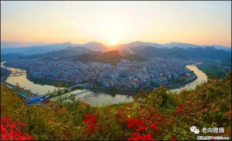 【春天，广西桂林灌阳县向您发出邀请！】登麒麟山，相约映山红 - 游山玩水 - 芜湖生活社区 - 芜湖28生活网 wuhu.28life.net