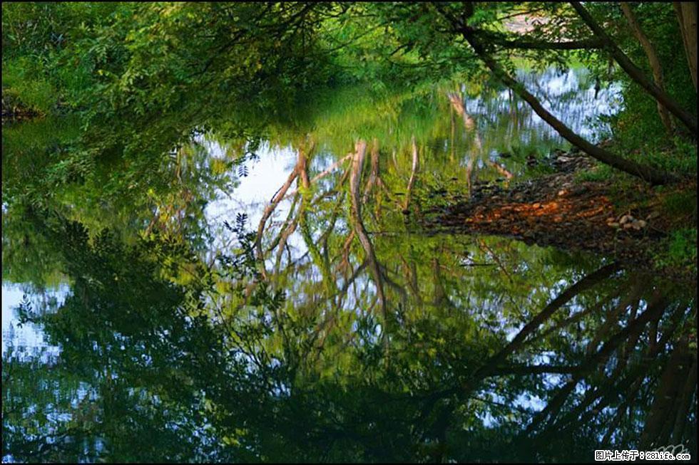 【春天，广西桂林灌阳县向您发出邀请！】熊家寨湿地公园 - 游山玩水 - 芜湖生活社区 - 芜湖28生活网 wuhu.28life.net