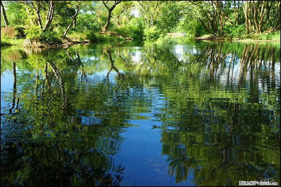 【春天，广西桂林灌阳县向您发出邀请！】熊家寨湿地公园 - 游山玩水 - 芜湖生活社区 - 芜湖28生活网 wuhu.28life.net