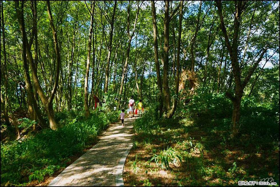 【春天，广西桂林灌阳县向您发出邀请！】熊家寨湿地公园 - 游山玩水 - 芜湖生活社区 - 芜湖28生活网 wuhu.28life.net