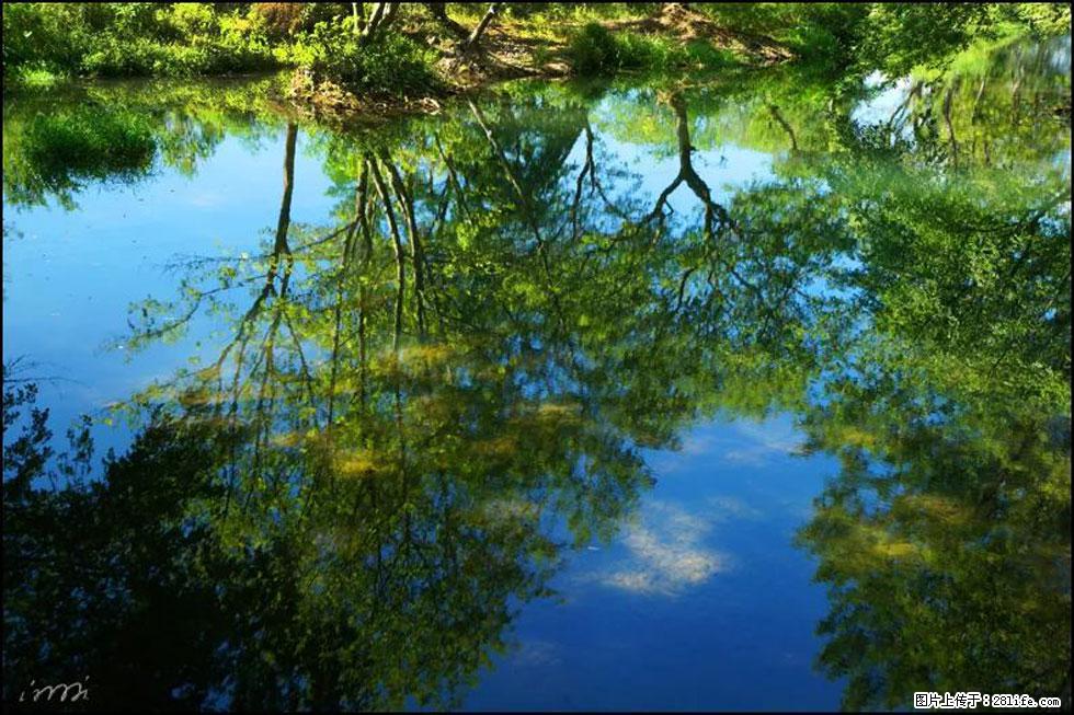 【春天，广西桂林灌阳县向您发出邀请！】熊家寨湿地公园 - 游山玩水 - 芜湖生活社区 - 芜湖28生活网 wuhu.28life.net