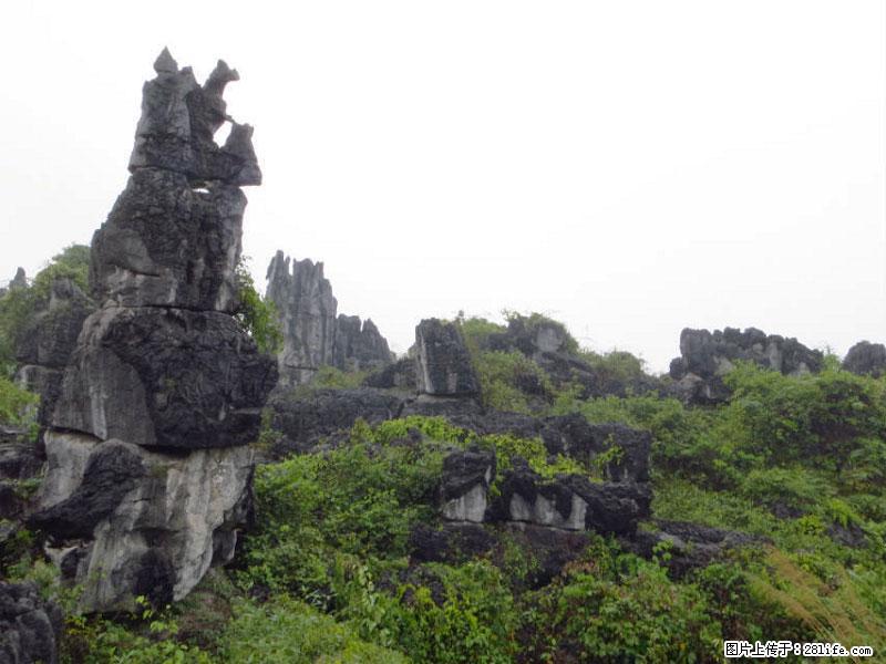 桂林旅游名城景点:灌阳文市石林 - 游山玩水 - 芜湖生活社区 - 芜湖28生活网 wuhu.28life.net