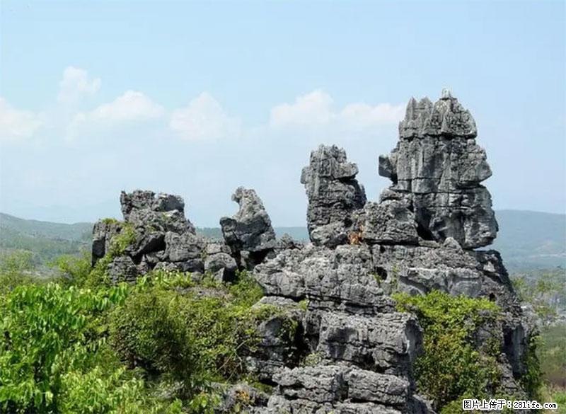 桂林旅游名城景点:灌阳文市石林 - 游山玩水 - 芜湖生活社区 - 芜湖28生活网 wuhu.28life.net