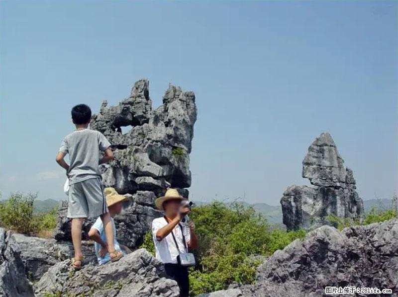 桂林旅游名城景点:灌阳文市石林 - 游山玩水 - 芜湖生活社区 - 芜湖28生活网 wuhu.28life.net