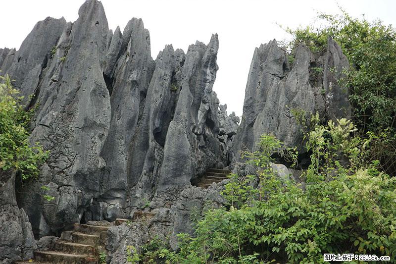 桂林旅游名城景点:灌阳文市石林 - 游山玩水 - 芜湖生活社区 - 芜湖28生活网 wuhu.28life.net