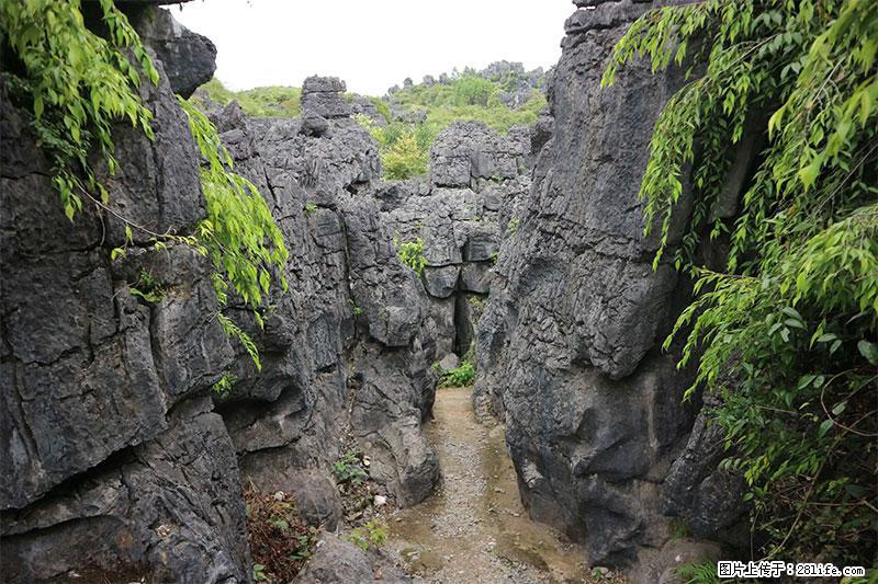 桂林旅游名城景点:灌阳文市石林 - 游山玩水 - 芜湖生活社区 - 芜湖28生活网 wuhu.28life.net