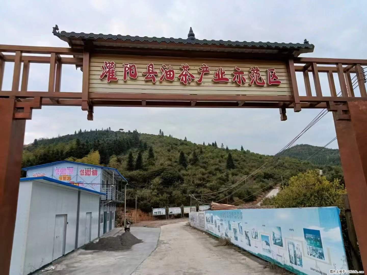【灌阳县油茶产业示范区】一个有着充实的精神生活的人，对待身外之物自会有一种淡泊的态度 - 土特产 - 饮食特产 - 芜湖分类信息 - 芜湖28生活网 wuhu.28life.net