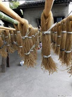 【灌阳正宗红薯粉】美女家里自己做的，干净卫生，假一赔十，价格合理，抢购电话：13737312895 - 芜湖28生活网 wuhu.28life.net