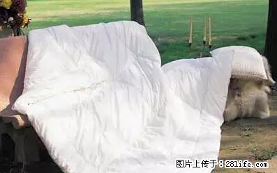 被子有异味？只要这样做，比晒太阳还强100倍！ - 家居生活 - 芜湖生活社区 - 芜湖28生活网 wuhu.28life.net