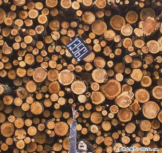 辞掉工作周游世界？现在他们在洗厕所…… - 游山玩水 - 芜湖生活社区 - 芜湖28生活网 wuhu.28life.net
