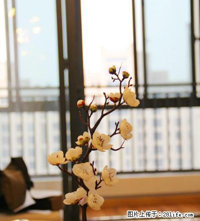 (个人)东方龙城采薇苑3房2厅豪华装修，支持月付，免中介费 - 房屋出租 - 房屋租售 - 芜湖分类信息 - 芜湖28生活网 wuhu.28life.net