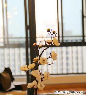 (个人)东方龙城采薇苑3房2厅豪华装修，支持月付，免中介费 - 芜湖28生活网 wuhu.28life.net