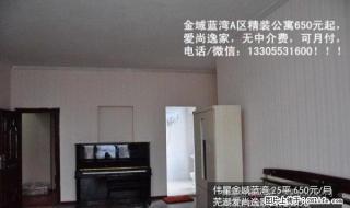 (个人)步行街、商业街、鸿汇城旁精装家庭式公寓可月付 - 芜湖28生活网 wuhu.28life.net