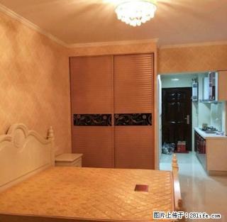 左岸公寓 欧式风格 全装修 全设施 拎包入住 看房方便 - 芜湖28生活网 wuhu.28life.net