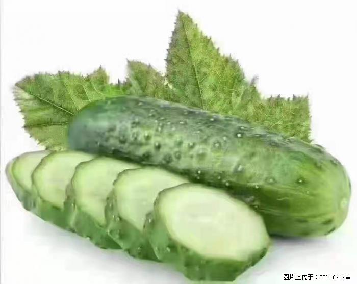 【生活小常识】吃黄瓜的好处 - 生活百科 - 芜湖生活社区 - 芜湖28生活网 wuhu.28life.net