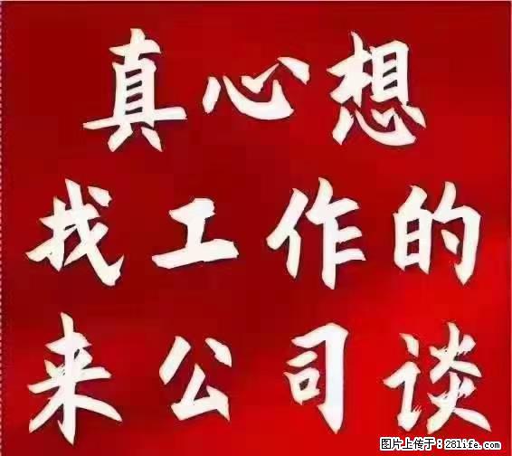 【上海】国企，医院招两名男保安，55岁以下，身高1.7米以上，无犯罪记录不良嗜好 - 职场交流 - 芜湖生活社区 - 芜湖28生活网 wuhu.28life.net