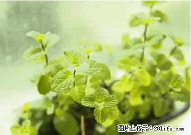 晕车、脚气、牙齿变黄、皮肤粗糙？学会这些三分钟搞定！ - 芜湖生活资讯 - 芜湖28生活网 wuhu.28life.net