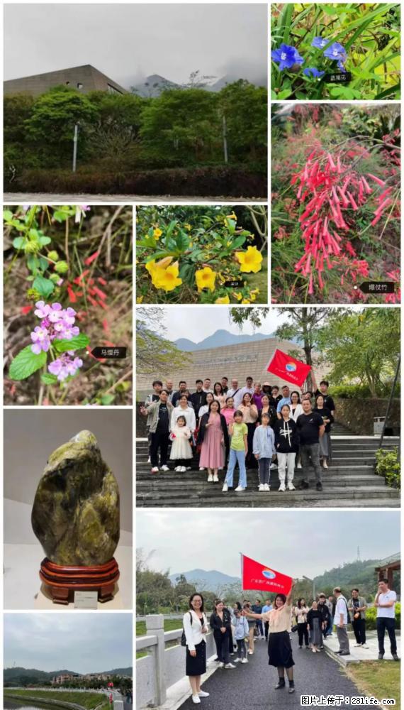 “粤灌文化 美好生活”油茶文化主题活动在广东深圳成功举办 - 芜湖生活资讯 - 芜湖28生活网 wuhu.28life.net