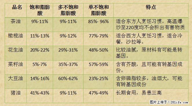 揭秘茶油的5大核心营养成分！被称为人体健康的“守护盾”！ - 芜湖生活资讯 - 芜湖28生活网 wuhu.28life.net