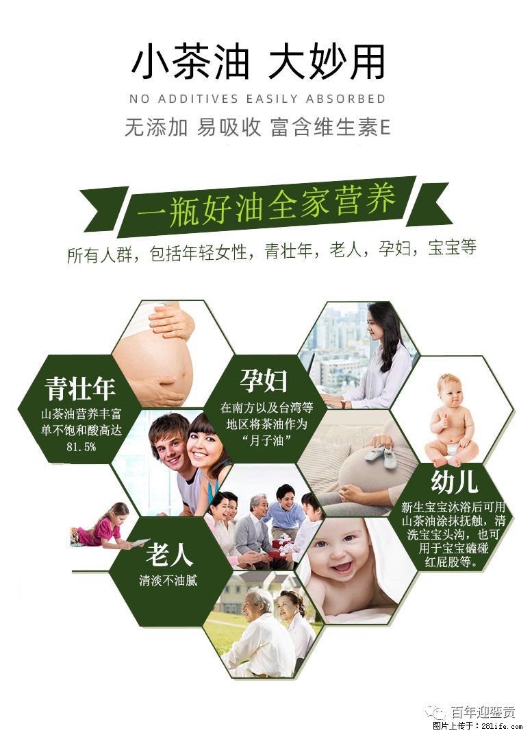 世界没有真相，只有认知，最好的食用油是中国的山茶油！ - 芜湖生活资讯 - 芜湖28生活网 wuhu.28life.net