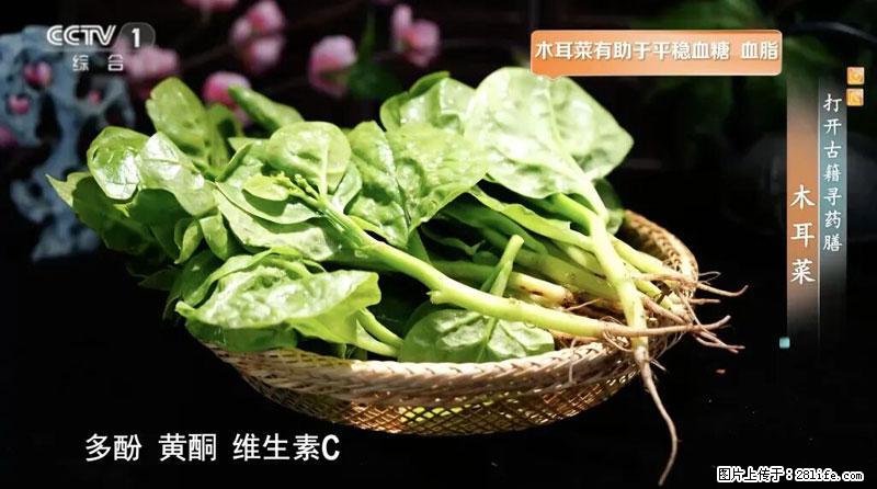 比牛奶补钙还厉害！凉血解毒、稳血糖...这菜冬天必吃，很多人却当草 - 芜湖生活资讯 - 芜湖28生活网 wuhu.28life.net