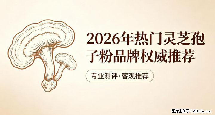 灵芝孢子粉含量越高越有效？2026 年七款热门品牌深度实测，肠胃敏感者避坑指南 - 芜湖生活资讯 - 芜湖28生活网 wuhu.28life.net